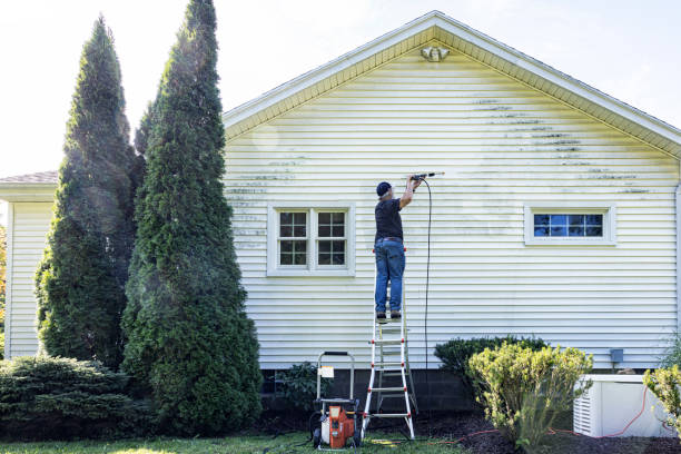 Best Gutter Cleaning  in Lowell, MI